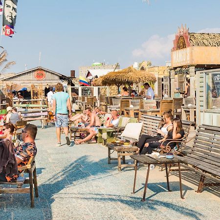 Albatros Aan Zee - Apartment Zandvoort Ngoại thất bức ảnh